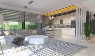 living room and kitchen