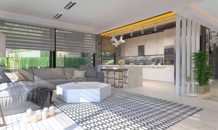 living room and kitchen