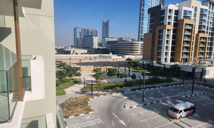 Exclusive Dubai property view