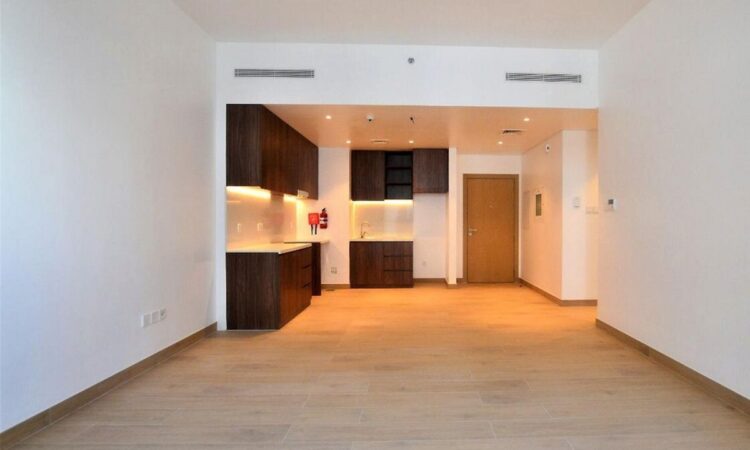 Exclusive Dubai property view