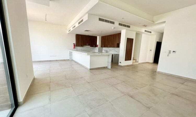 Exclusive Dubai property view