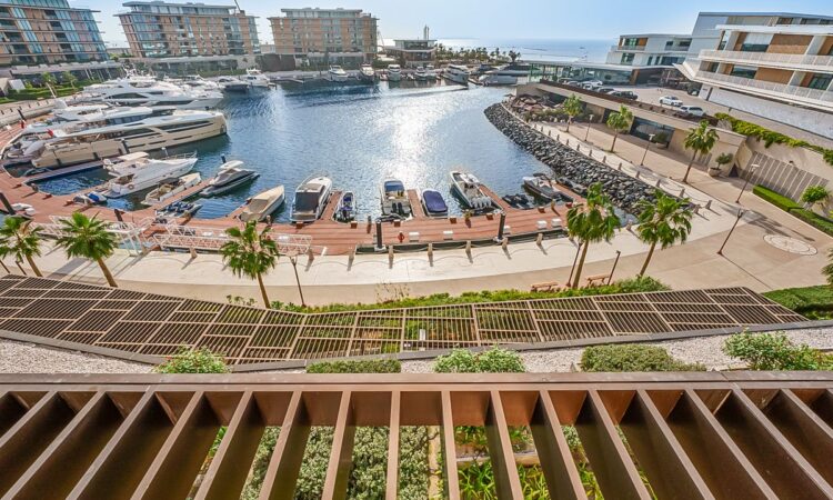 Exclusive Dubai property view