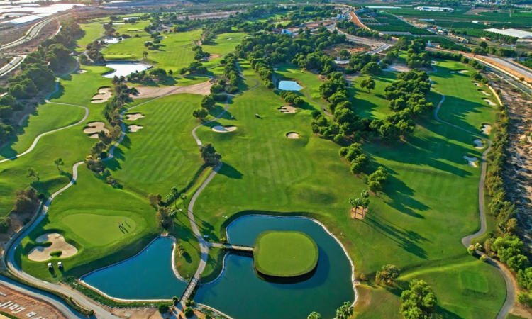 Houses for sale in Pilar de la Horadada Alicante in Alicante with 111 m² of space.