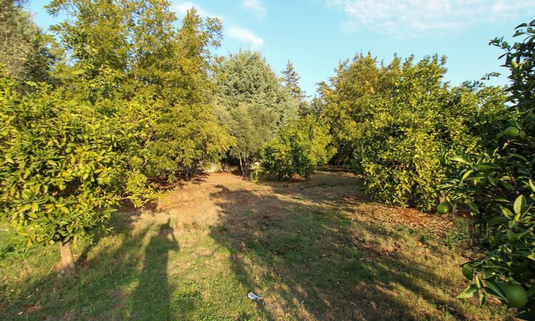 Houses for sale in Dosemealti Antalya in Antalya with 330 m² of space.