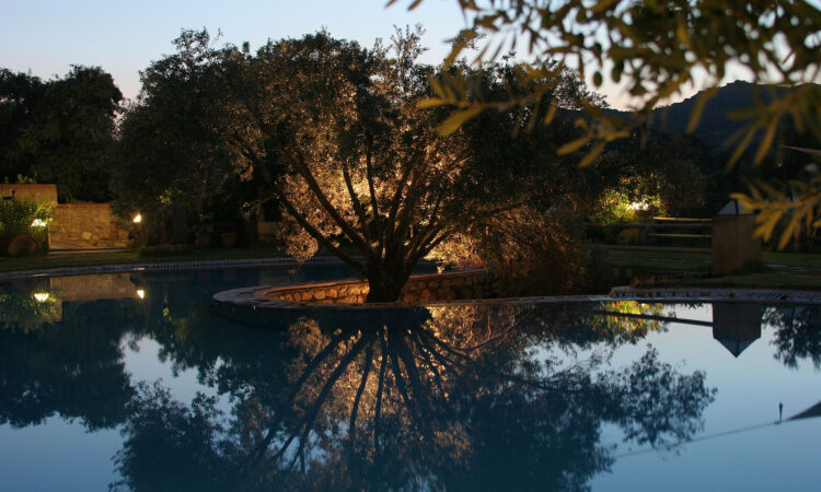 Houses for sale in Bodrum Mugla in Muğla with 982 m² of space.