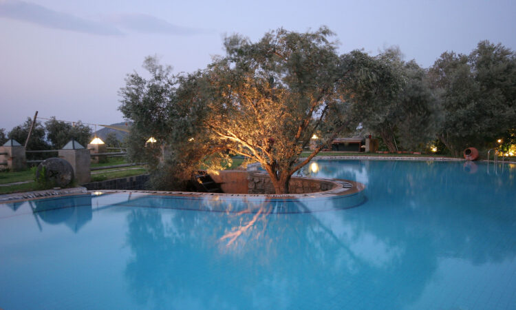 Houses for sale in Bodrum Mugla in Muğla with 982 m² of space.