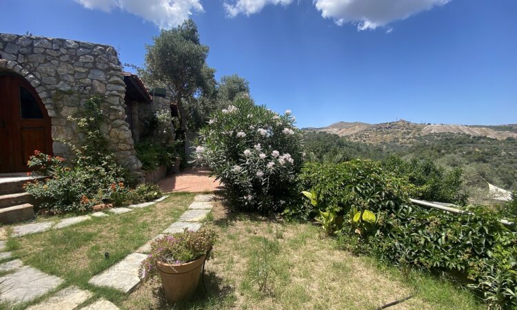 Houses for sale in Bodrum Mugla in Muğla with 982 m² of space.