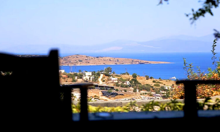Houses for sale in Bodrum Mugla in Muğla with 982 m² of space.