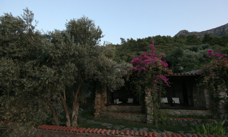 Houses for sale in Bodrum Mugla in Muğla with 982 m² of space.