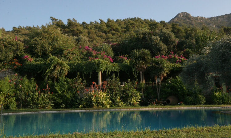 Houses for sale in Bodrum Mugla in Muğla with 982 m² of space.