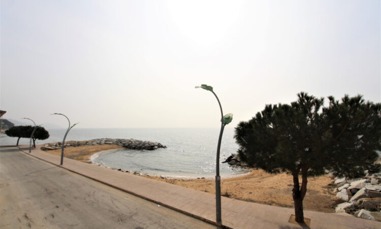 Apartments for sale in Armutlu Yalova in Yalova with 140 m² of space.