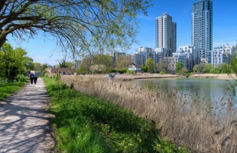 Chic 1-Bedroom Apartment in Finsbury Park, London