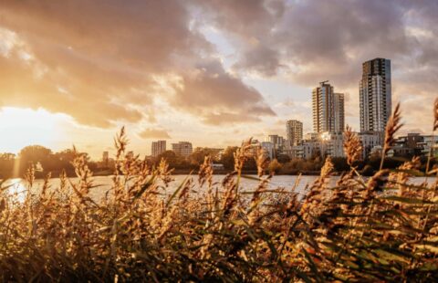 Bright 2-Bedroom Apartment in Finsbury Park, London