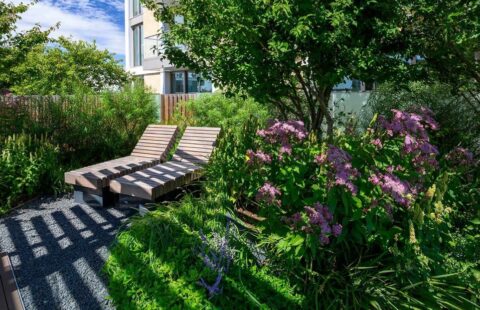 Stunning Battersea Apartments with Park Views