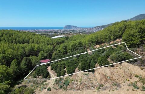 2100 m² Plot in Kızılcaşehir, Alanya – Ideal for Investment