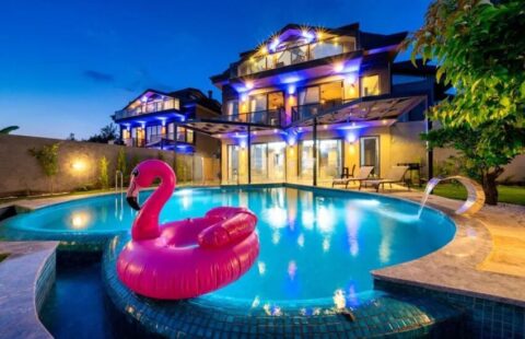 Tranquil Forest-View Villa with Private Pools in Fethiye’s Natural Paradise