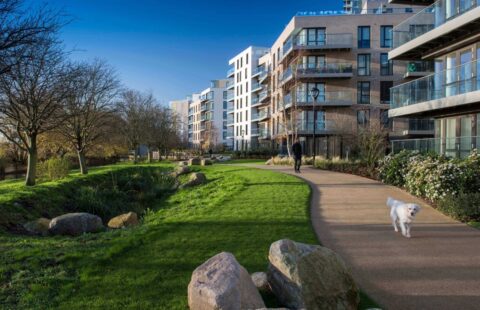 Bright 1-Bedroom Apartment in Finsbury Park, London