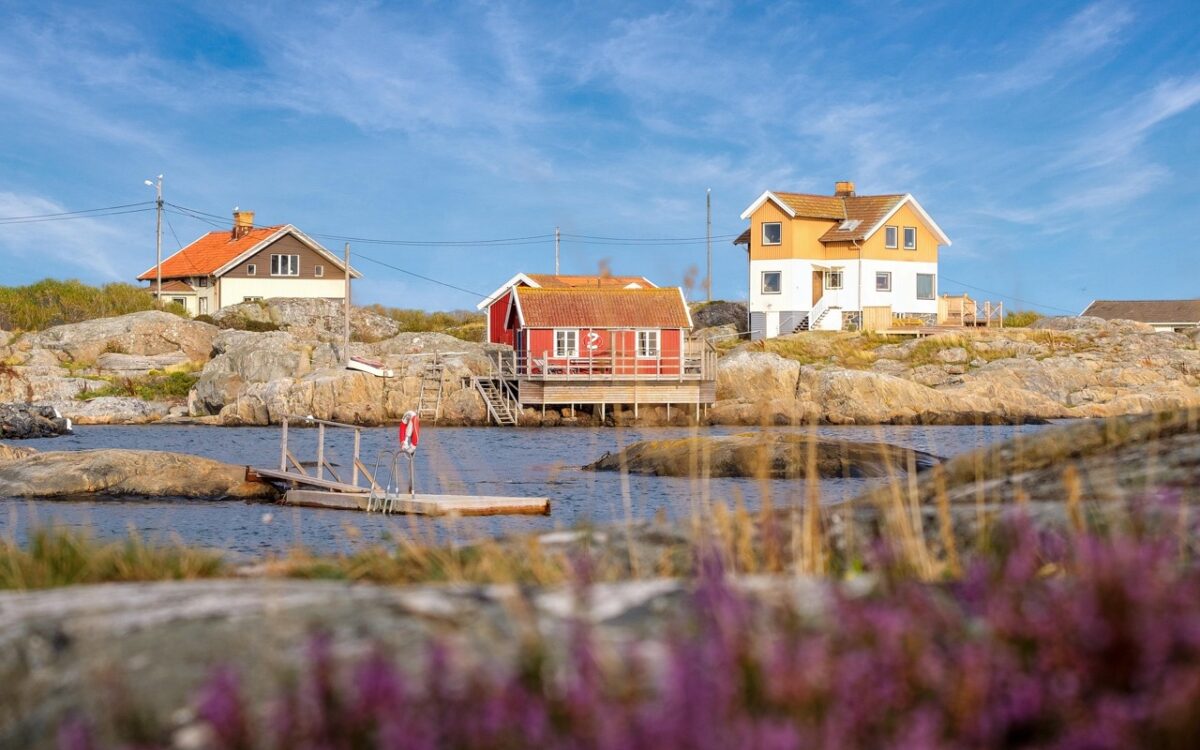 Summer Ready: Essential Yard Maintenance Tips for 2026