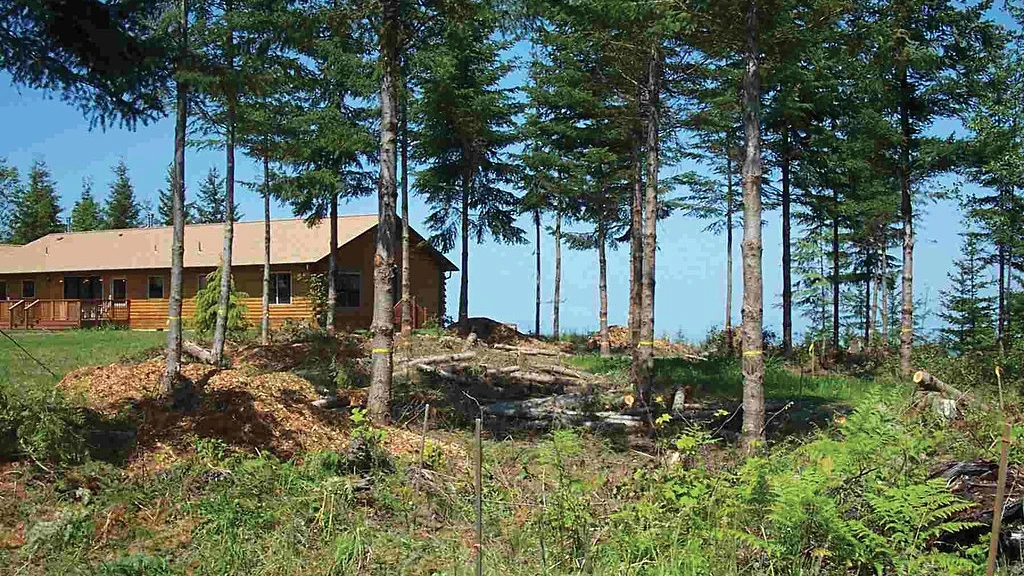 Illustrative woodland home with cleared vegetation around the building