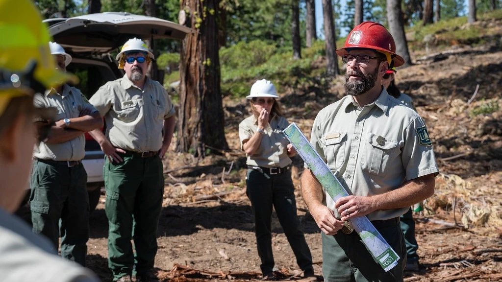 Forestry professionals reviewing vegetation management in a wooded area